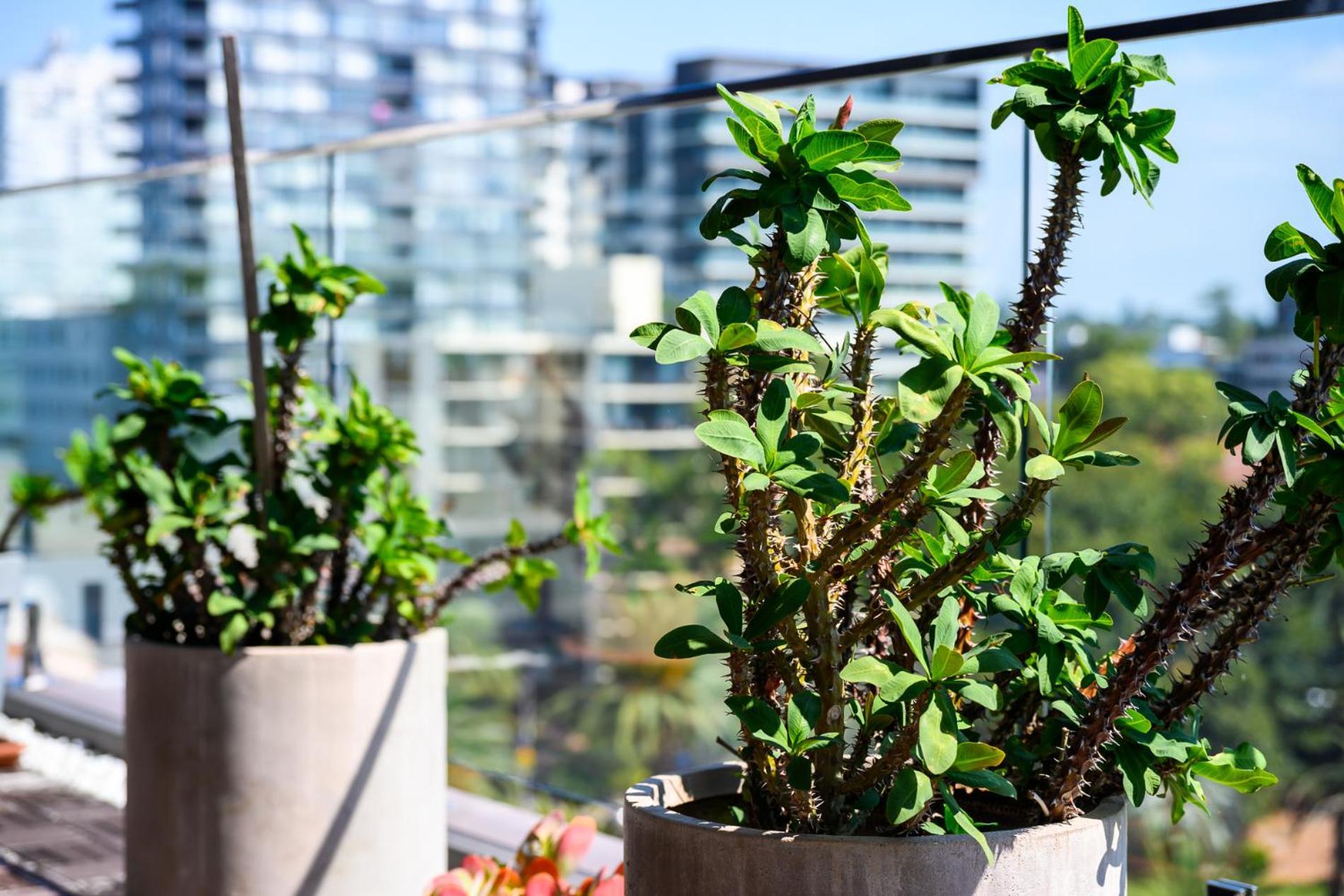 Cozy 3br With Large Balcony For Relaxation Sydney